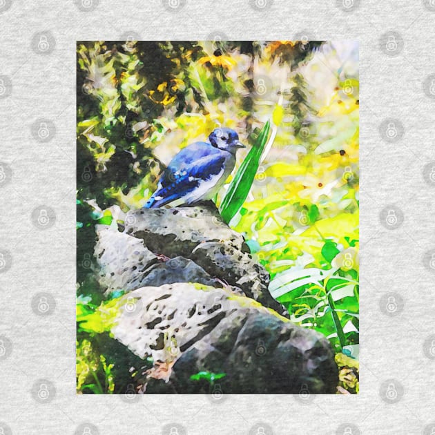 Blue Jay Watercolour by Robert Alsop